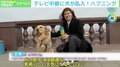 エイプリルフールの冗談? テレビ中継に犬が乱入しマイク奪い取る ロシア