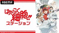 【特別番組】「はたらく細胞」ステーション