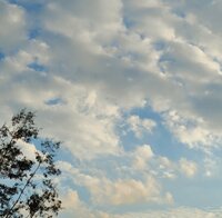 モト冬樹『検査結果』