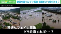静岡水害でAIデマ画像 情報をどう見分ける？