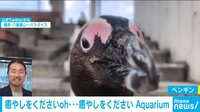 【動画】ニヤニヤが止まらん……癒し動物動画