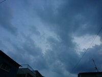 大島奈保美『皆が泣き笑い』