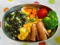 宮崎謙介『普通のお弁当』