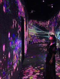 桃『teamLaboでデートぽいデート』