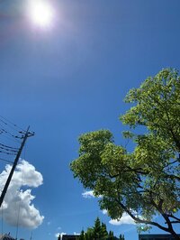 仲間由紀恵『夏の楽しみ』