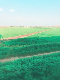 荻野目洋子『夏休み2』