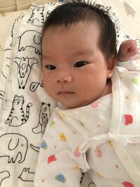 たんぽぽ白鳥久美子『アッ！』