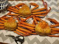 小原正子『贅沢☆』