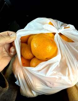 北斗晶、ロケ先でのファンとの交流に感激「凄く甘くてオドロキでしたー」 