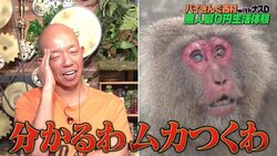 バイきんぐ西村を猿が挑発？ その小馬鹿にしているような表情に小峠英二「俺もムカついてきた！」