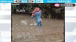 「コレは非常に貴重な動画…世界発信せねば」“謎の生命体”が川遊びする様子に驚きの声