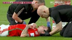 「絶対に負けられない」気合いの顔面ブロック 体を張ってウェールズを救ったネコの勇姿がサポーターの心に深く刻まれる