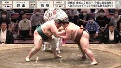 親方衆も気になる引退後の体重 ダイエットもいろいろ、10キロ単位で成功も