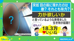 「後ろで手組んでる」「無敵感」“ムキムキ”な生き物のアングルがネット上で話題