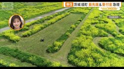 「東京より便利」「本当に暮らしやすい」　移住人気が急上昇中　プロが注目4つの街