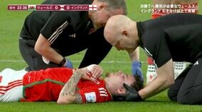 「絶対に負けられない」気合いの顔面ブロック 体を張ってウェールズを救ったネコの勇姿がサポーターの心に深く刻まれる