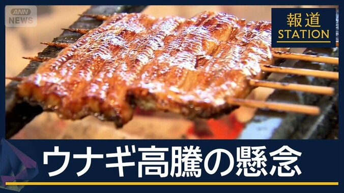 『ウナギ』価格高騰の可能性も…国際会議で“規制強化”議論　EU案に日本は反対 1枚目