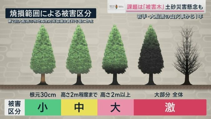 焼損度の被害区分