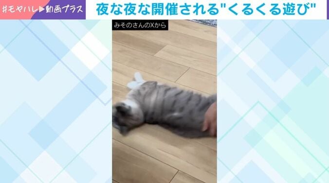 猫がハマる“くるくる”遊び