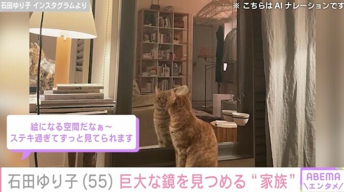 【写真・画像】生活感あふれる自宅が話題・石田ゆり子（55）、自宅の巨大な鏡を見つめる愛猫を紹介「絵になる空間」「映画のワンシーンみたい」ファン絶賛　2枚目