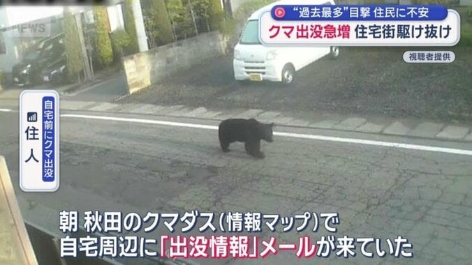 「本当に信じられない」