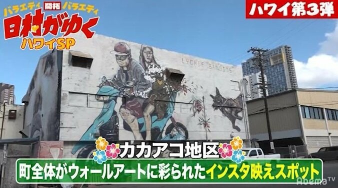 日村、ハワイのインスタ映えスポットでアート撮影　完成度の高さにスタッフも大爆笑「ナイスアート！」 2枚目