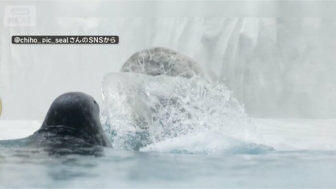 水バシャー！