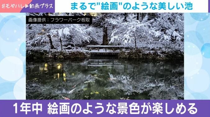 根道神社の境内にある池