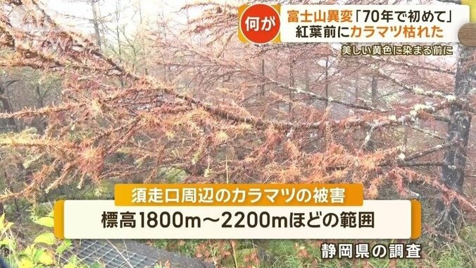 静岡県が須走口周辺を調査