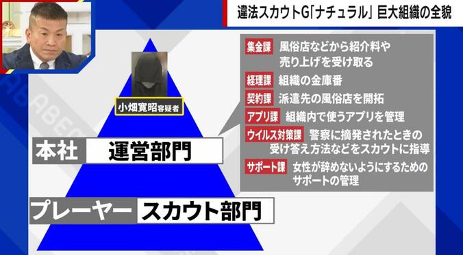 ナチュラルの組織体系