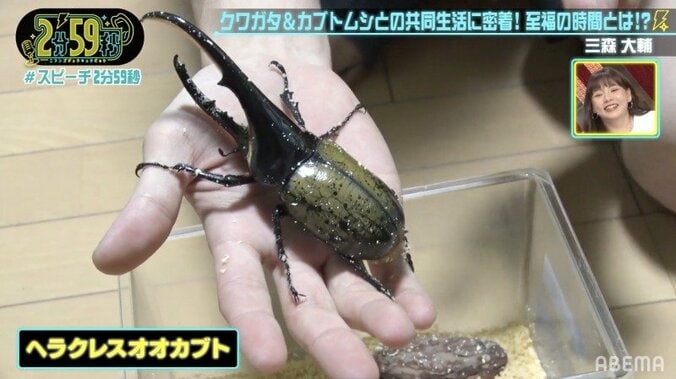 クワガタ・カブトムシ1000匹を飼育する芸人の自宅に潜入！虫への愛に千原ジュニア仰天 1枚目