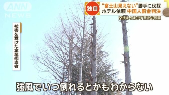 「枝を切られて除草剤を入れられた」