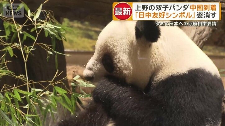 パンダ返還のタイミングに重ねて