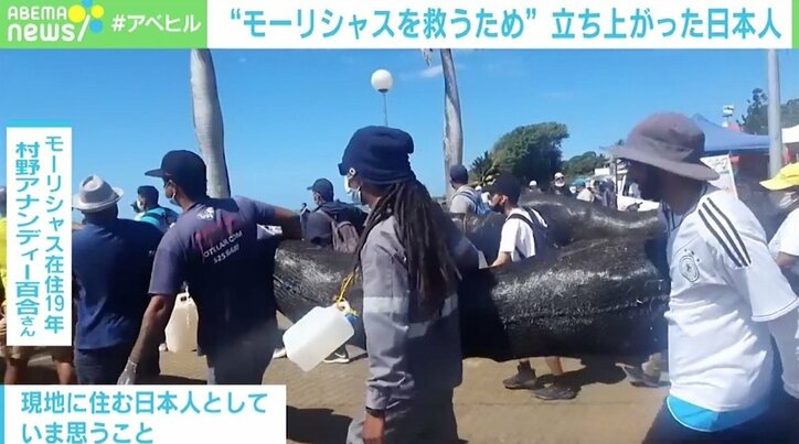 重油拡散防止へ“髪の毛”で協力 モーリシャス現地邦人が語る現状と支援「これをきっかけにいい方向へ」