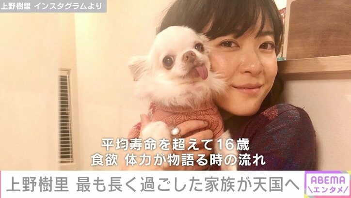 上野樹里、20歳の頃から一緒に暮らした愛犬とのお別れを報告 「会う人みんなを笑顔にしてくれた」