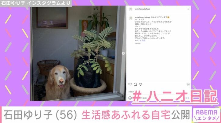 石田ゆり子の自宅