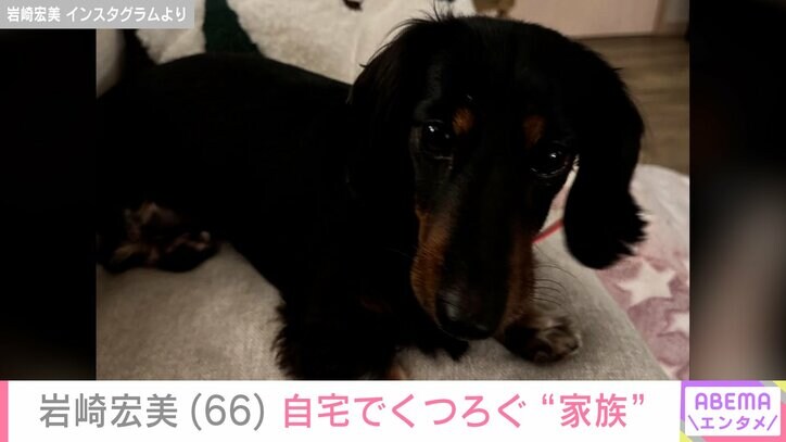 【写真・画像】孫の顔出しショットが話題・岩崎宏美（66）、自宅でくつろぐ3歳の誕生日を迎えた愛犬を披露　2枚目