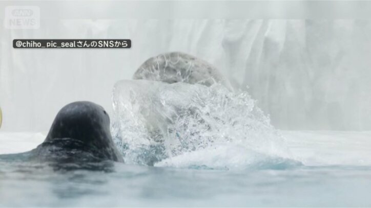 水バシャー！