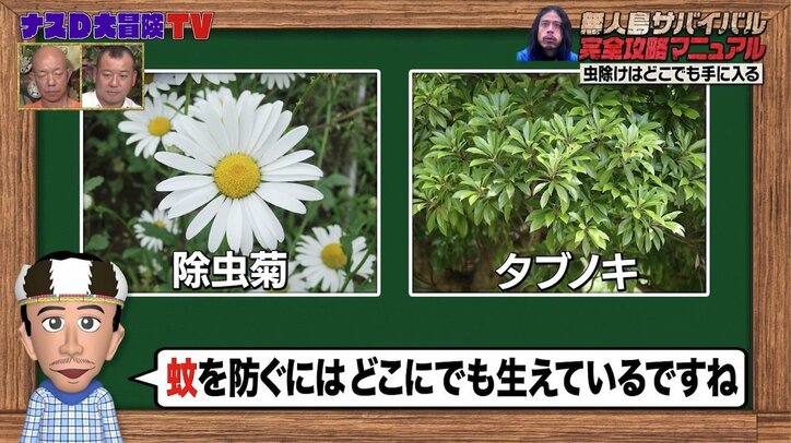 蚊に刺されないためには？ 雨露をしのぐには？ ナスDが明かす“野宿で快適に過ごす秘訣”