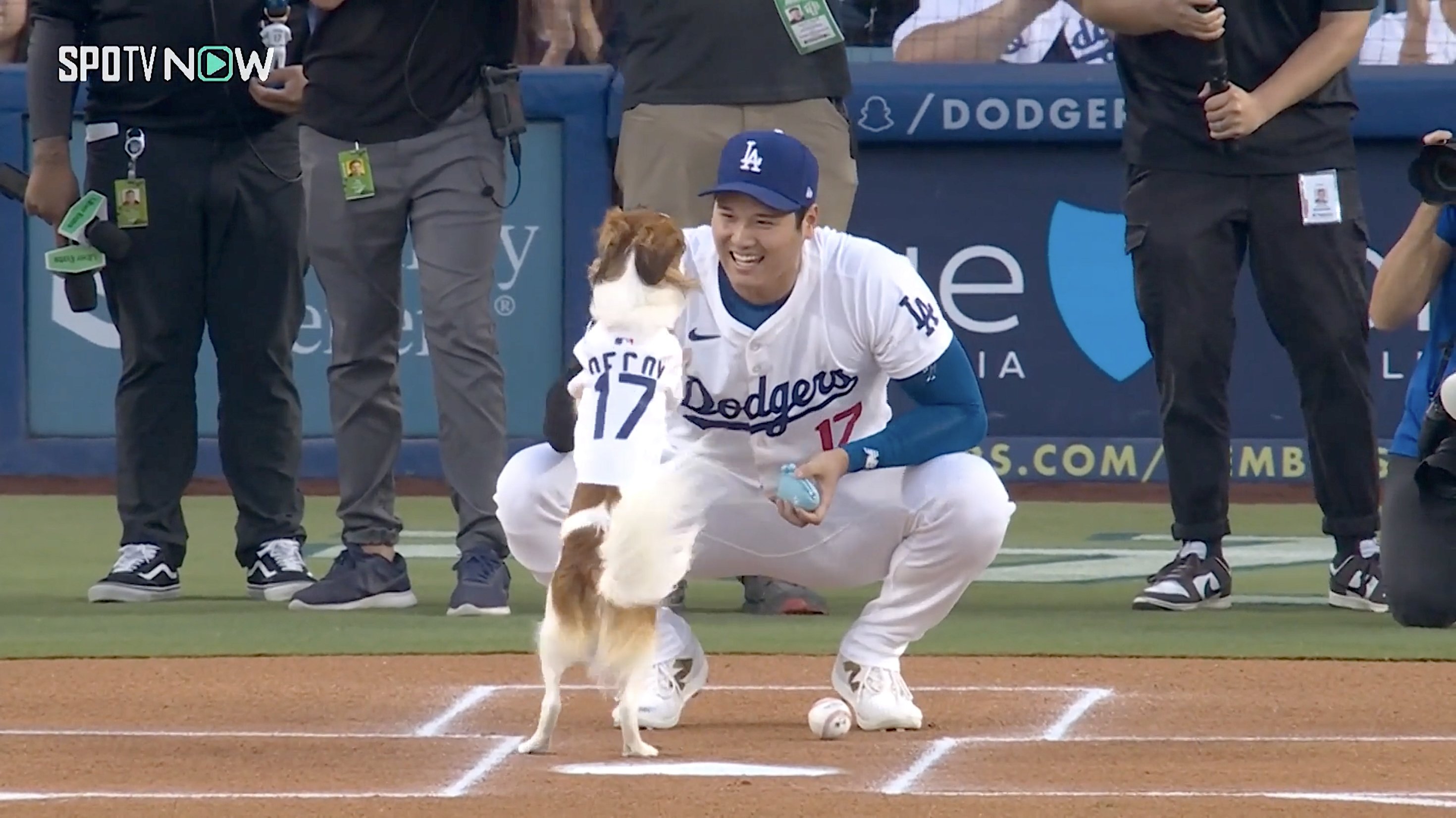 スゴすぎる… 大谷翔平の愛犬デコピンが快挙！ 錚々たる顔ぶれに並ぶ… MLB公認分析家のアワード選出にネット歓喜「完璧な投球」「ド軍ブルペンに」（ABEMA  TIMES）｜ｄメニューニュース（NTTドコモ）