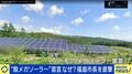 「私はストレートに『いらない』と言いたい」 “ノーモア メガソーラー宣言”なぜ? 福島市長に聞く