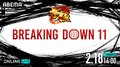 Breaking Down11（ブレイキングダウン11）結果・速報・対戦カード・大会情報