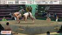 【映像】二度見して一瞬フリーズする行司