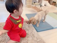 辻希美『今日からスタート♡』