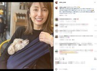 矢田亜希子、愛犬とのブランチショット公開「#抱っこ紐大好き」「#新生児と同じ大きさ」