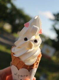 紺野あさ美『動物達とのふれあい』