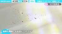 目と内臓以外は“スケスケ” 深海イカの貴重映像「ファンタジーの生き物」驚きの声 【ABEMA TIMES】