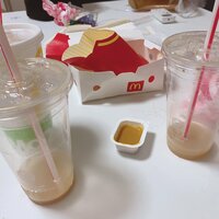 日菜あこ『秒で失敗した節約』