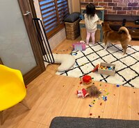 尾形あい『激甘なパパに喝』