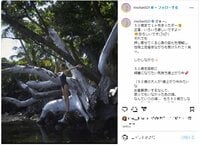 梨花の美ボディ際立つヘルシーな水着姿にファンから「やっぱスタイル抜群」「永遠の憧れ」と称賛の声